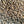 Load image into Gallery viewer, Tanzanian Peaberry