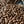 Load image into Gallery viewer, Papua New Guinea