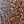 Load image into Gallery viewer, Papua New Guinea
