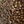 Load image into Gallery viewer, Bee Sting Blend